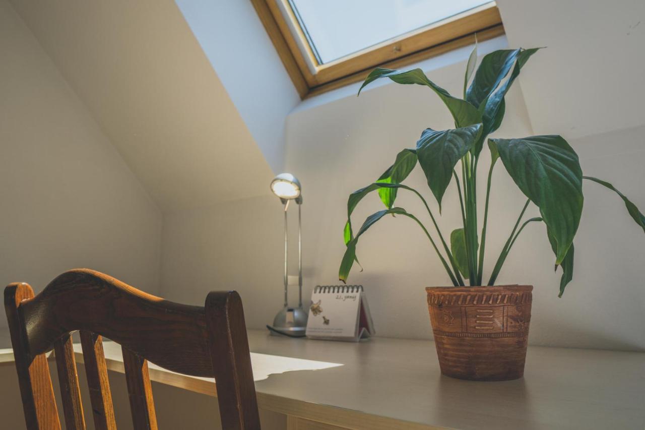 Apartment Amak With Free Onsite Parking Bovec Exteriör bild
