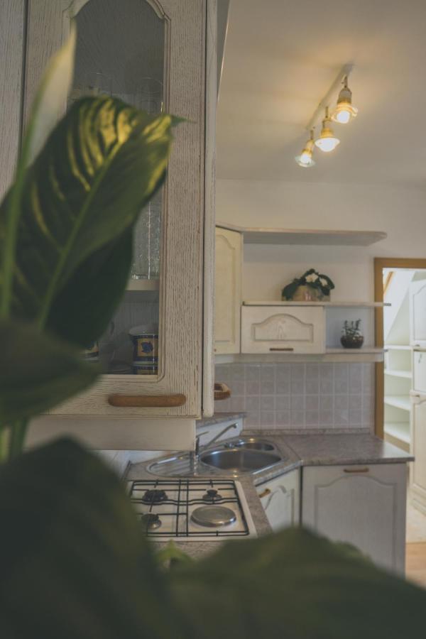Apartment Amak With Free Onsite Parking Bovec Exteriör bild